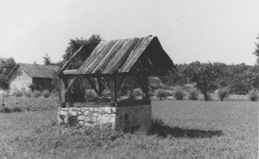 eika image